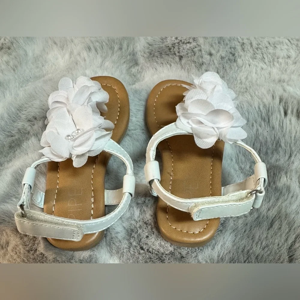 Piper blue tori